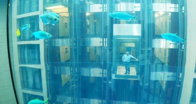 德国建8层楼高鱼缸 造价数千万人民币