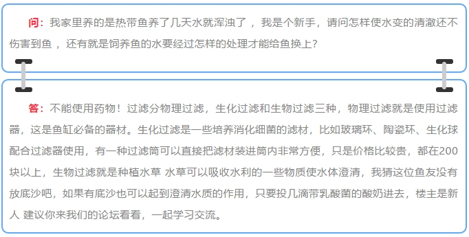 鱼缸水混？这四个方法可以帮你，试试吧