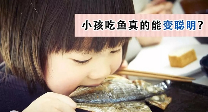 吃鱼会让人变聪明吗？