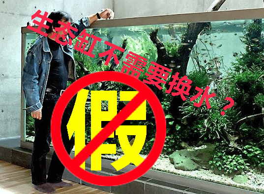 揭秘水族行业的骗局，呼吁大家不要再上当！