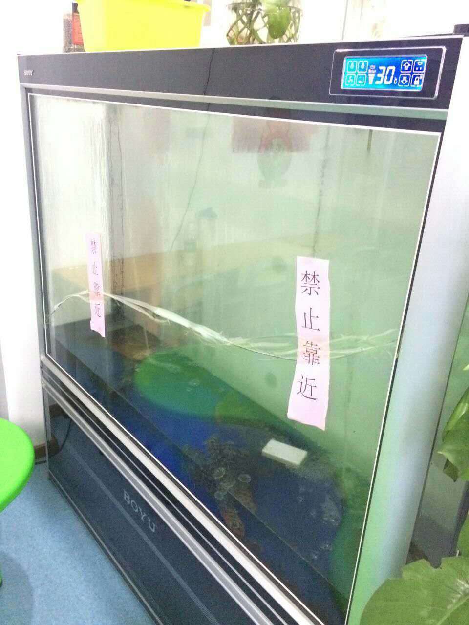 鱼缸漏水怎么办？老师傅呕血的分享经验！