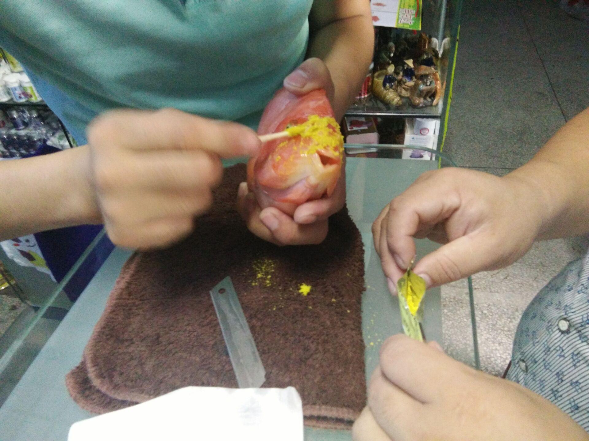 血鹦鹉头洞，实践手术操作流程，简单易学不容错过