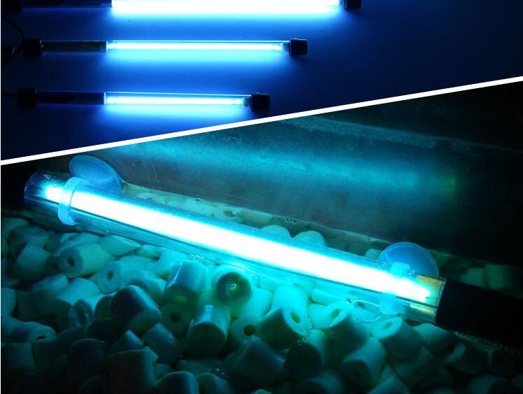 鱼缸在什么情况下需要使用杀菌灯？它的效果如何？
