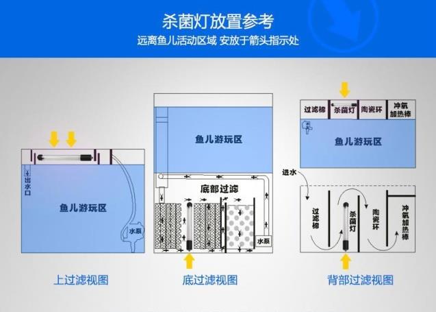 杀菌灯会杀死硝化细菌吗？