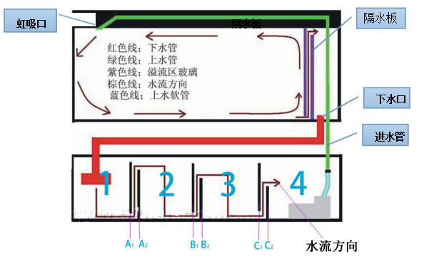 鱼缸过滤的四大误区，你中招了没？