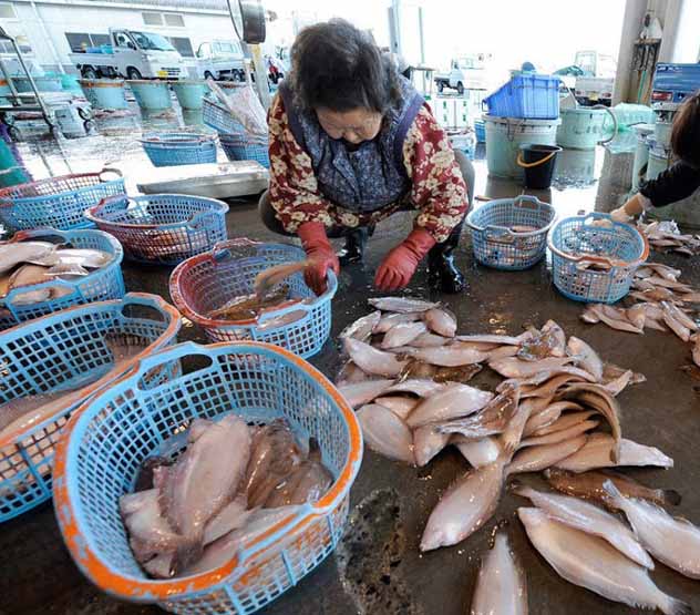 日本检测出鱼类体内放射性物质超标