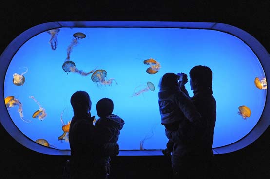南京海底世界水母馆开放