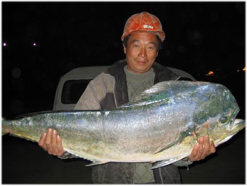 “无名大鱼”原是热带鱼 主要生活在南太平洋一带