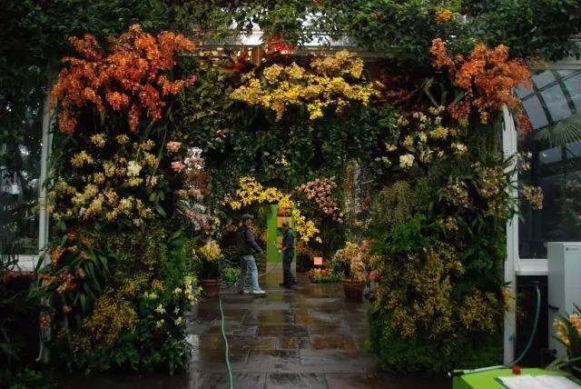 这个与植物打了一辈子交道的男人，在全世界建了300多个垂直花园。
