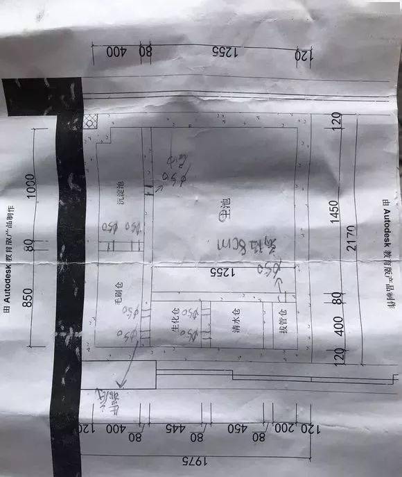 缸养始终不过瘾，换了房子，自建2.4米阳台鱼池解毒！