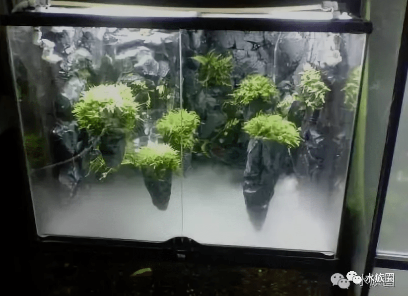 水族行业常见数十种景观风格近些年发展变化。至今最全没有之一！|【水族圈低调分享】