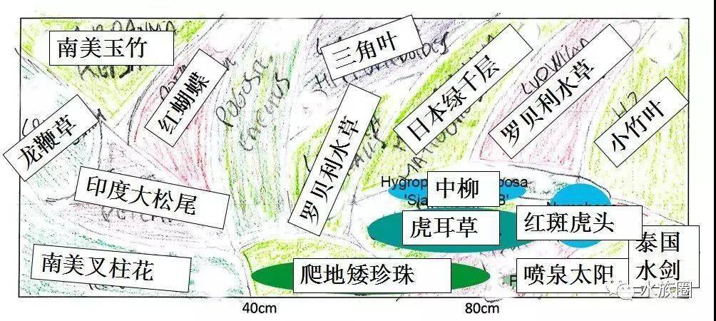 第一次做荷兰景就这么牛？！老天爷你也太偏心了！