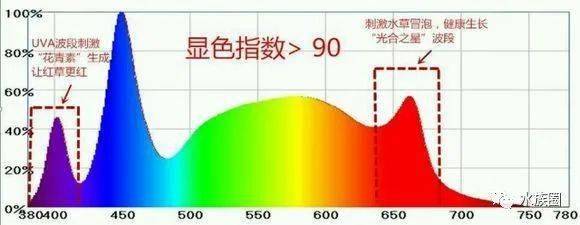 无责任胡侃，谈一谈市场上主流的水草灯