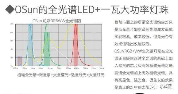 无责任胡侃，谈一谈市场上主流的水草灯